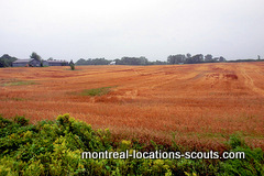 Quebec fields