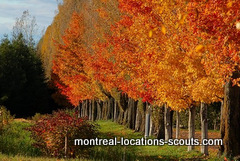 Quebec fall colors
