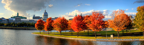 Fall Colors Montreal