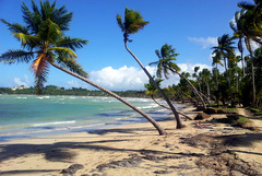 Dominican republic Beach Beaches